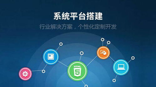 dok meta數字藏品系統開發