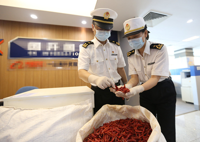 中非經貿博覽會 合作成果豐碩，攜手共譜發展新篇